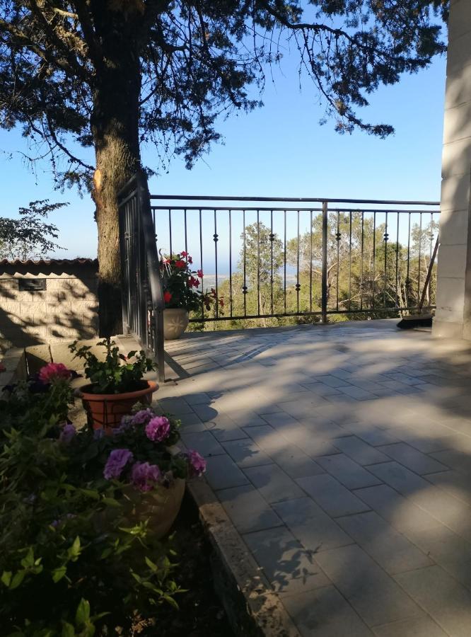 Loft Collina Vista Mare Daire Castellina Marittima Dış mekan fotoğraf