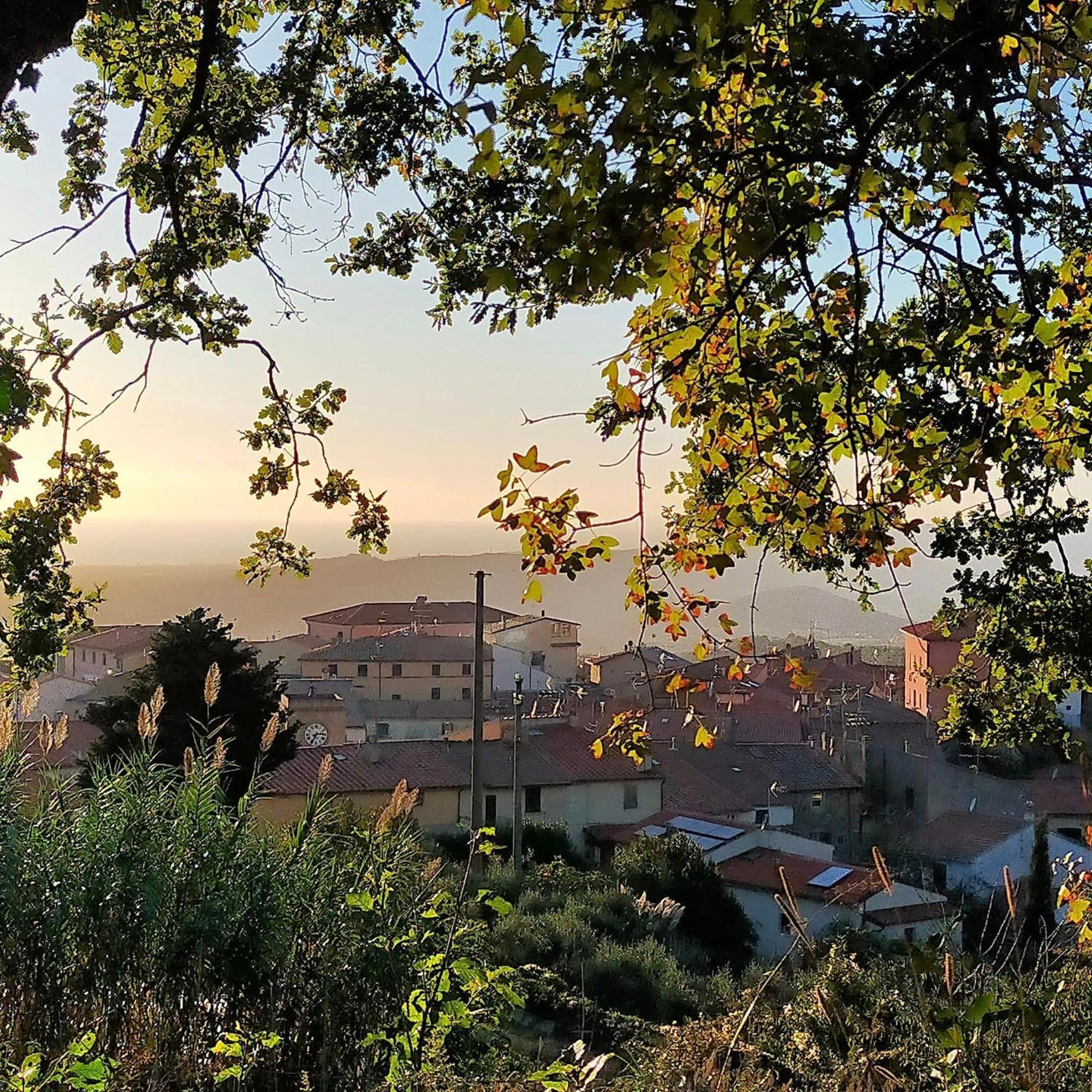 Loft Collina Vista Mare Daire Castellina Marittima Dış mekan fotoğraf