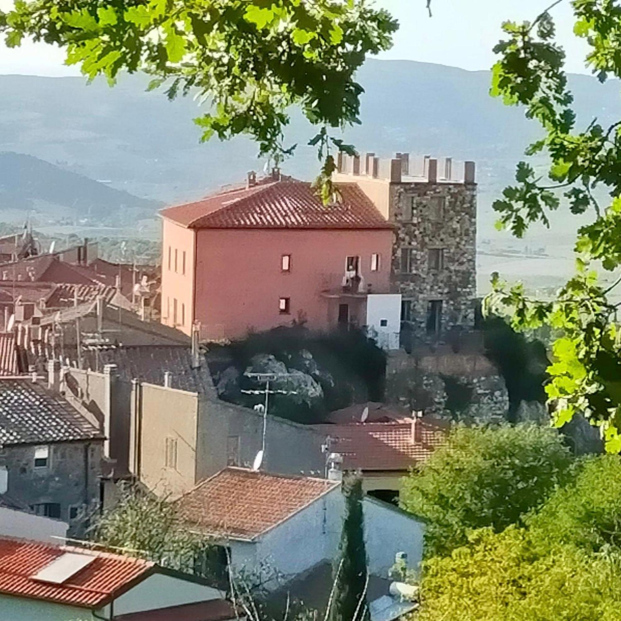 Loft Collina Vista Mare Daire Castellina Marittima Dış mekan fotoğraf